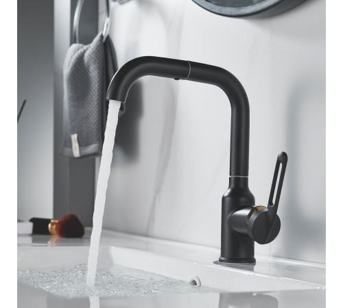 Смеситель для раковины Raffine F201H, черный