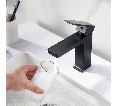 Смеситель для раковины Rose R1801H-1, черный