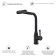 Смеситель для кухни с мультифункциональным изливом Splenka S206.49.06, черный