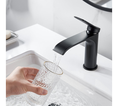 Смеситель для раковины Shevanik S4101H, черный