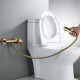 Гигиенический душ со смесителем Shevanik S4305G-1, золотой сатин