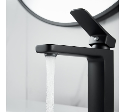 Смеситель для раковины Raffine F0199H, черный