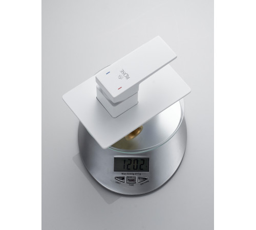 Гигиенический душ со смесителем Rose R2805C, белый