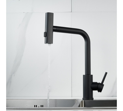 Смеситель для кухни с мультифункциональным изливом Raffine F203H, черный