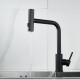 Смеситель для кухни с мультифункциональным изливом Raffine F203H, черный