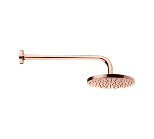 Верхний душ Webert AC0013980METAL, розовое золото