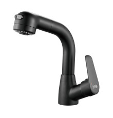 Смеситель для раковины многофункциональный Raffine F291H, черный