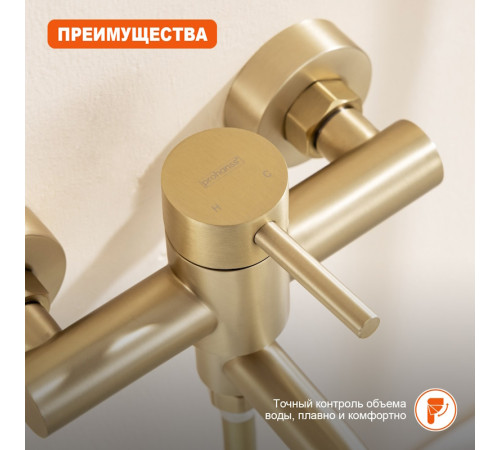 Смеситель для ванны Prohanss P31.30.03, золотой сатин