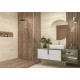 Керамогранит Alma Ceramica GFA3060ATS04R Альтесс / Altesse 30×60