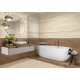 Керамогранит Alma Ceramica GFA3060ATS04R Альтесс / Altesse 30×60
