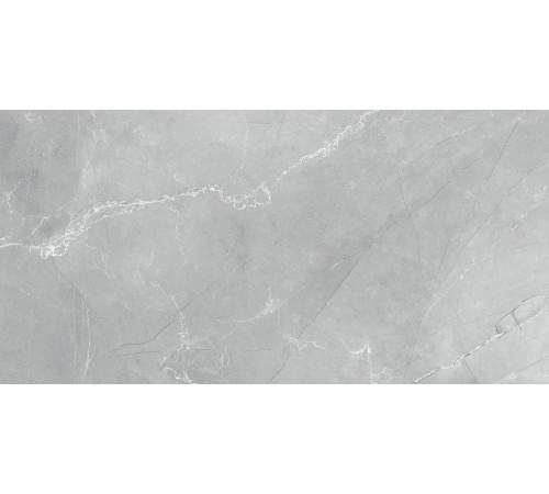 Керамогранит Armani Marble Gray 60120AMB15P 600x1200x7 Полированная
