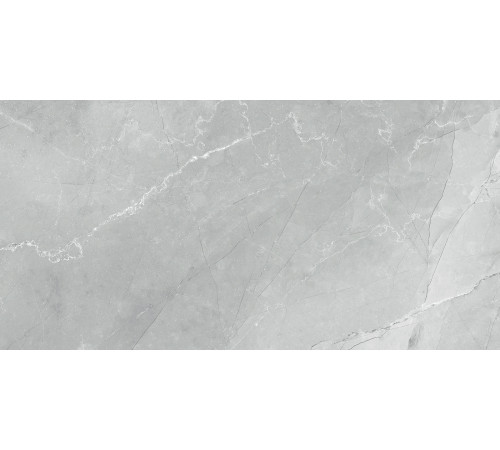 Керамогранит Armani Marble Gray 60120AMB15P 600x1200x7 Полированная