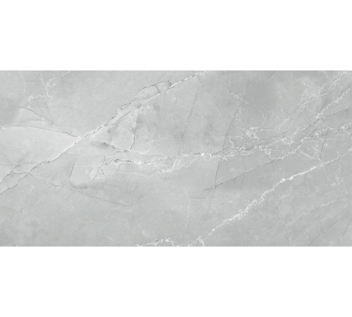 Керамогранит Armani Marble Gray 60120AMB15P 600x1200x7 Полированная