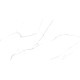 Керамогранит Atlantic Marble 60120AMR00P 600x1200x7 Полированная