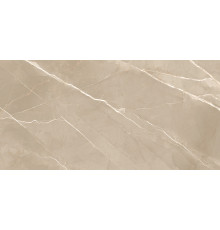 Керамогранит New Trend 60120ESE21P Эссеншл каштановый / Essential Marron 60×120