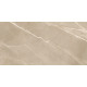 Керамогранит New Trend 60120ESE21P Essential Marron 60x120 бежевый полированный под мрамор