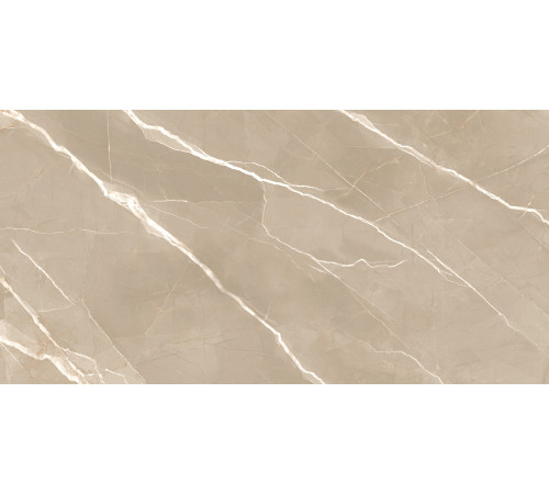 Керамогранит New Trend 60120ESE21P Essential Marron 60x120 бежевый полированный под мрамор