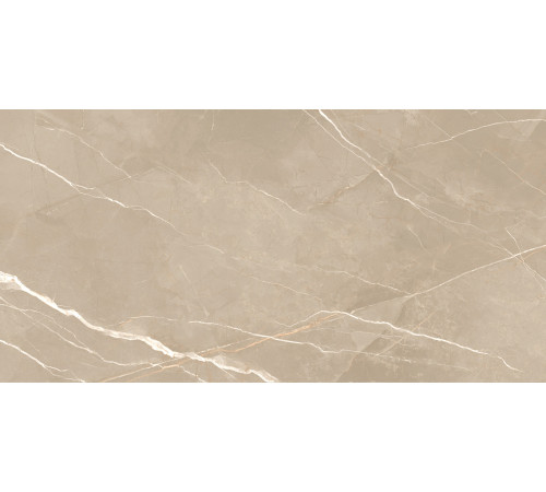Керамогранит New Trend 60120ESE21P Essential Marron 60x120 бежевый полированный под мрамор