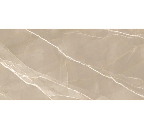 Керамогранит New Trend 60120ESE21P Essential Marron 60x120 бежевый полированный под мрамор