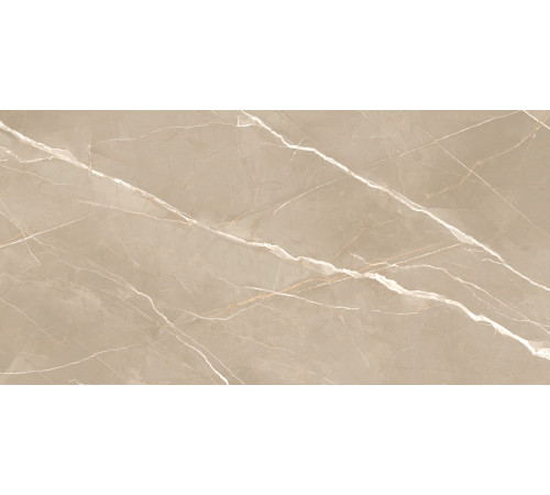 Керамогранит New Trend 60120ESE21P Essential Marron 60x120 бежевый полированный под мрамор