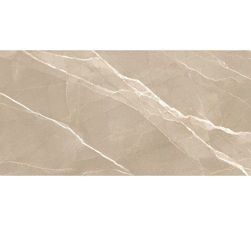 Керамогранит New Trend 60120ESE21P Essential Marron 60x120 бежевый полированный под мрамор