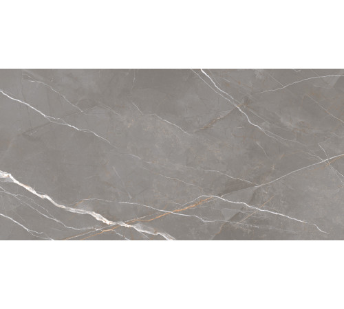 Керамогранит New Trend 60120ESE25P Essential Graphite 60x120 серый полированный под мрамор
