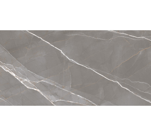 Керамогранит New Trend 60120ESE25P Essential Graphite 60x120 серый полированный под мрамор