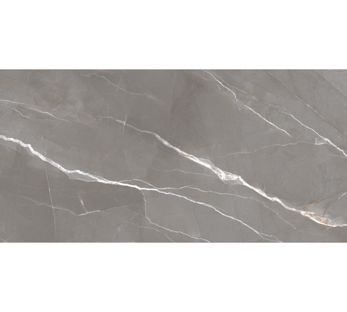 Керамогранит New Trend 60120ESE25P Essential Graphite 60x120 серый полированный под мрамор