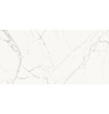 Керамогранит Artkera Group 60120PFC15 Порфидо Каррара / Porfido Carrara 60×120