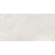 Керамогранит LCM 60120RGE15M Argenta Gray 60x120 серый глазурованный матовый / карвинг под камень