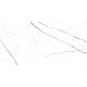 Керамогранит LCM 60120TWN00P Twinstone White 60x120 белый полированный под мрамор