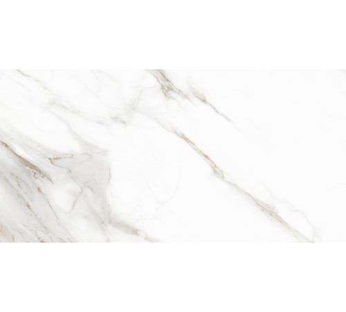 Керамогранит Delacora D120210M Calacatta Andrea 60x120 белый матовый / карвинг под мрамор