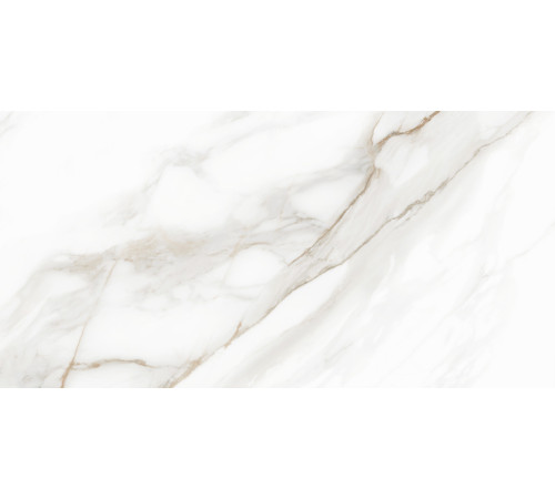 Керамогранит Delacora D120210M Calacatta Andrea 60x120 белый матовый / карвинг под мрамор