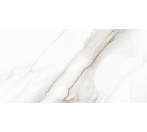 Керамогранит Delacora D120210M Calacatta Andrea 60x120 белый матовый / карвинг под мрамор