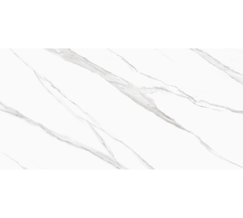 Керамогранит Delacora D120239M Life Calacatta 60x120 белый матовый / противоскользящий под мрамор
