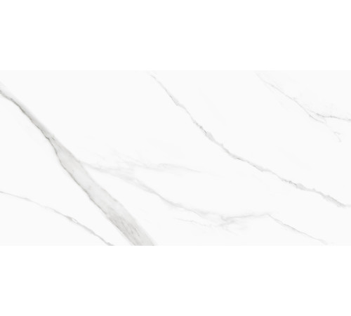 Керамогранит Delacora D120239M Life Calacatta 60x120 белый матовый / противоскользящий под мрамор
