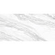 Керамогранит Delacora D12065M Statuary Venato 60x120 белый матовый под мрамор