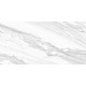 Керамогранит Delacora D12065M Statuary Venato 60x120 белый матовый под мрамор