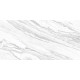Керамогранит Delacora D12065M Statuary Venato 60x120 белый матовый под мрамор