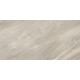 Керамогранит Delacora D30016M Nepal Light 30x60 серый матовый карвинг под камень
