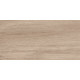 Керамогранит Delacora D30018M Cedar 30x60 бежевый матовый карвинг под дерево