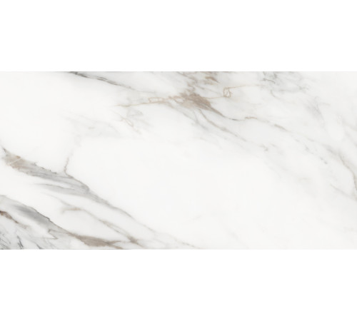 Керамогранит Delacora D30020M Carrara Cersei 30x60 белый / серый матовый карвинг под мрамор
