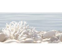 Декор Alma Ceramica DWU09DLM624 Дель Мар / Del Mare 24.9×50