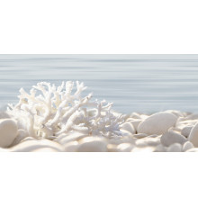 Декор Alma Ceramica DWU09DLM624 Дель Мар / Del Mare 24.9×50