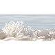 Декор Del Mare DWU09DLM624 249x500x7.5 Глянцевая