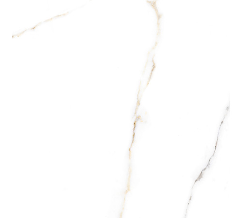 Керамогранит Alma Ceramica GFA57ECL04R Extra Calacatta 57x57 белый матовый под мрамор