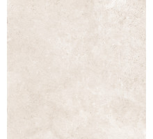 Керамогранит Alma Ceramica GFU04MRN04R Маррон / Marrone 60×60
