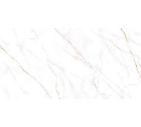 Керамогранит Alma Ceramica GFU60120NCL04R Нео Калакатта / Neo Calacatta 60×120