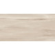 Керамогранит Artkera Group GP36GOA01 Гоа кремовый / Goa Crema 30×60