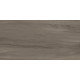 Керамогранит Artkera Group GP36GOA18 Гоа серо-коричневый / Goa Taupe 30×60